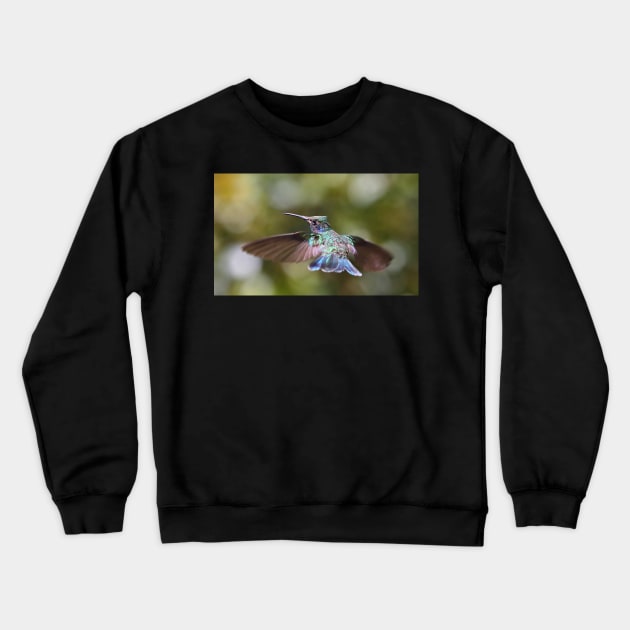 Green Violetear Hummingbird Crewneck Sweatshirt by Carole-Anne